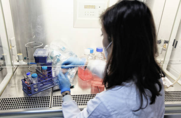 Case Studies on the Effectiveness of Denver-based Testosterone Therapy Programs.