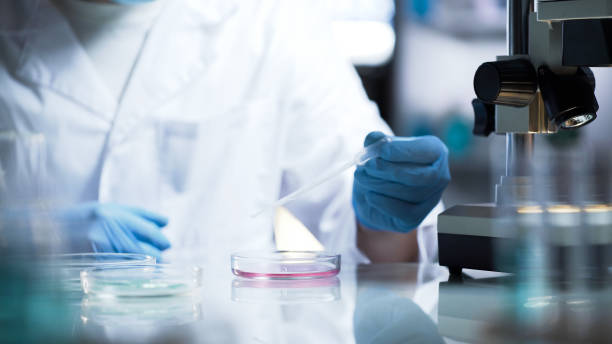 Unveiling the Secrets: How to Use Denver Testosterone Therapy for Better Health